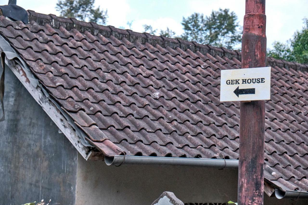 Gek House אובוד מראה חיצוני תמונה